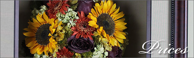 Floral Preservation Getting Started